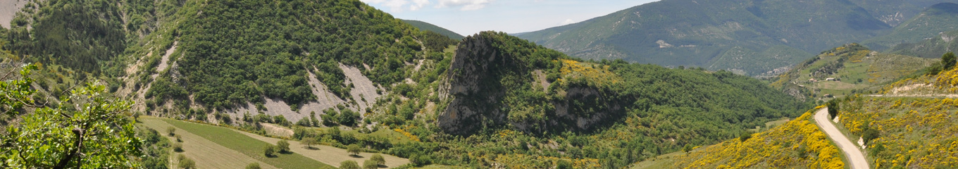 La vallée du Toulourenc